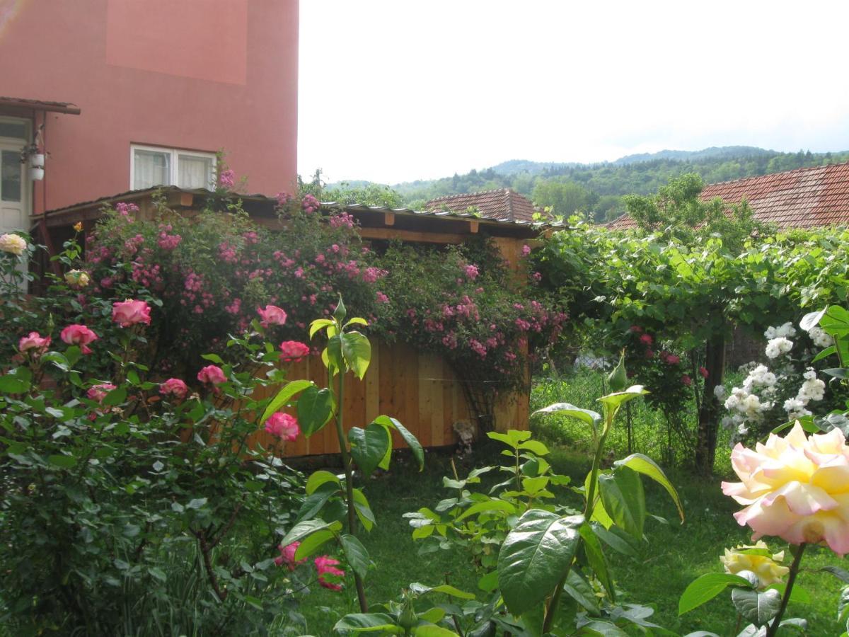 Casa Fabrizio Hotel Călimăneşti Екстериор снимка