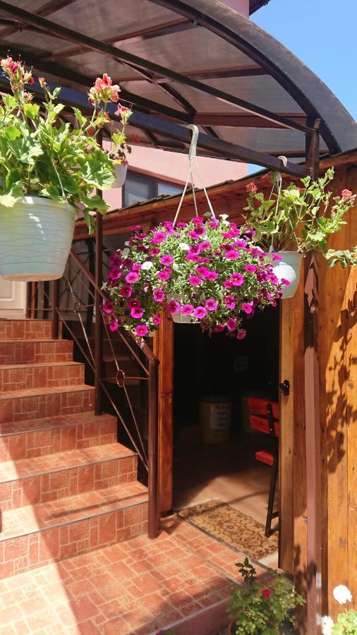 Casa Fabrizio Hotel Călimăneşti Екстериор снимка