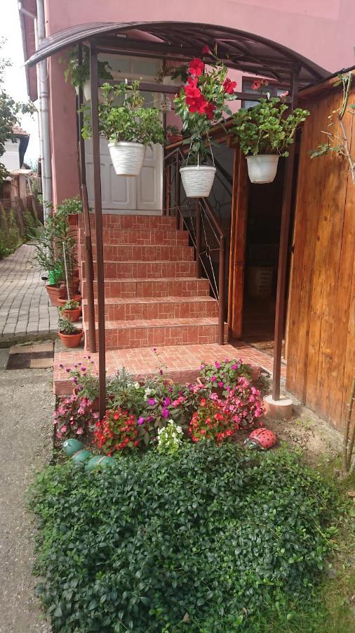 Casa Fabrizio Hotel Călimăneşti Екстериор снимка