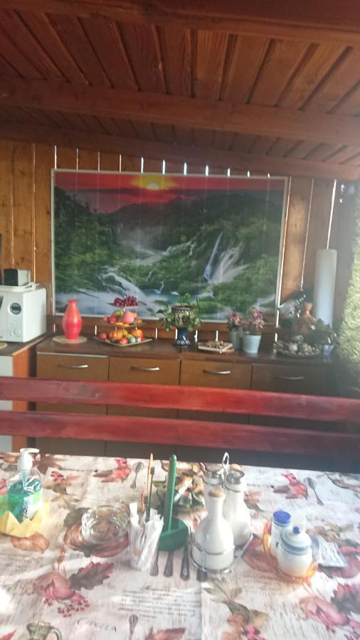 Casa Fabrizio Hotel Călimăneşti Екстериор снимка
