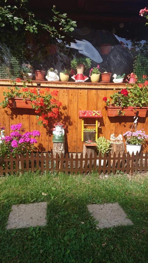 Casa Fabrizio Hotel Călimăneşti Екстериор снимка