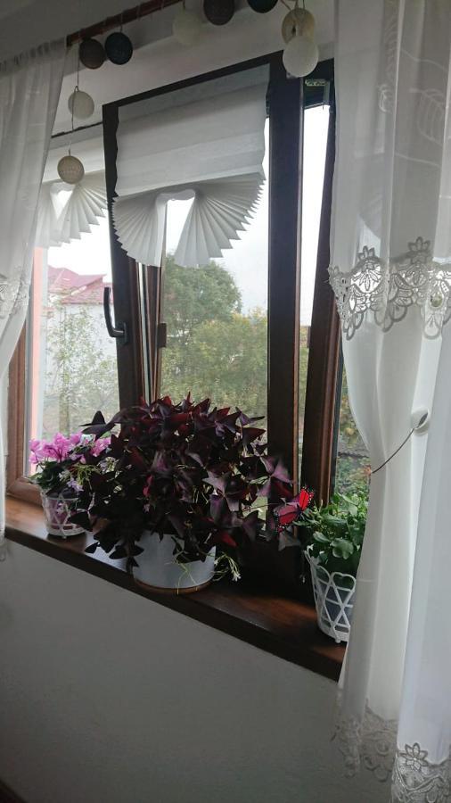 Casa Fabrizio Hotel Călimăneşti Екстериор снимка