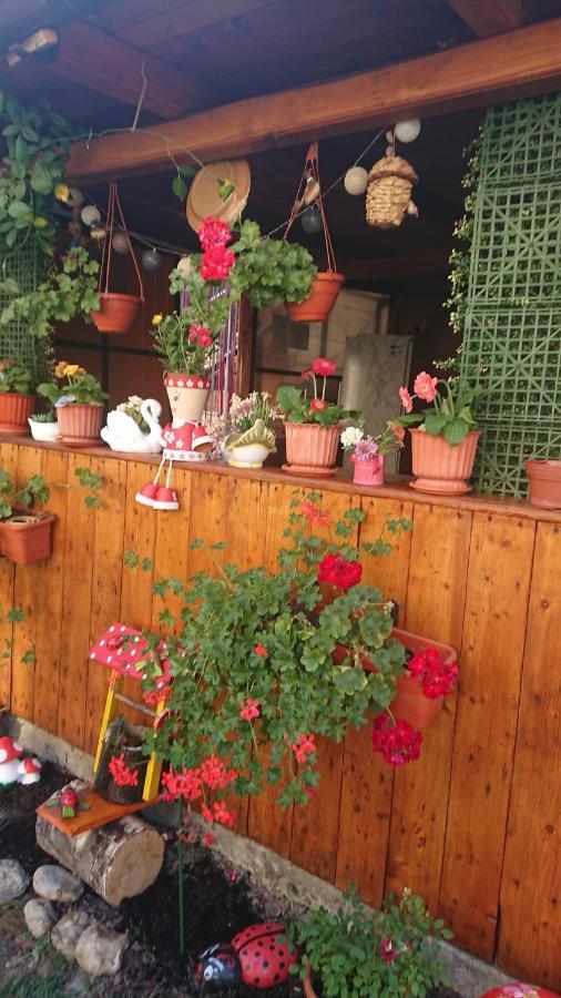 Casa Fabrizio Hotel Călimăneşti Екстериор снимка