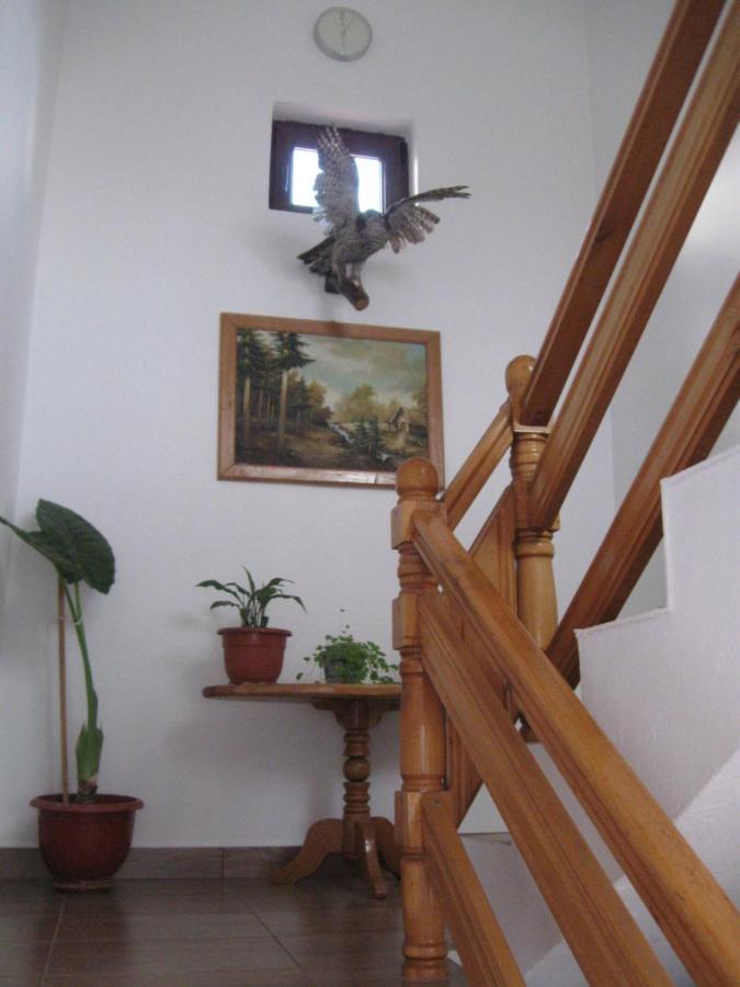 Casa Fabrizio Hotel Călimăneşti Екстериор снимка