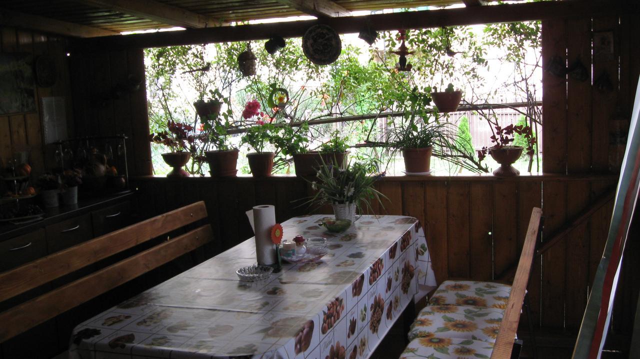 Casa Fabrizio Hotel Călimăneşti Екстериор снимка
